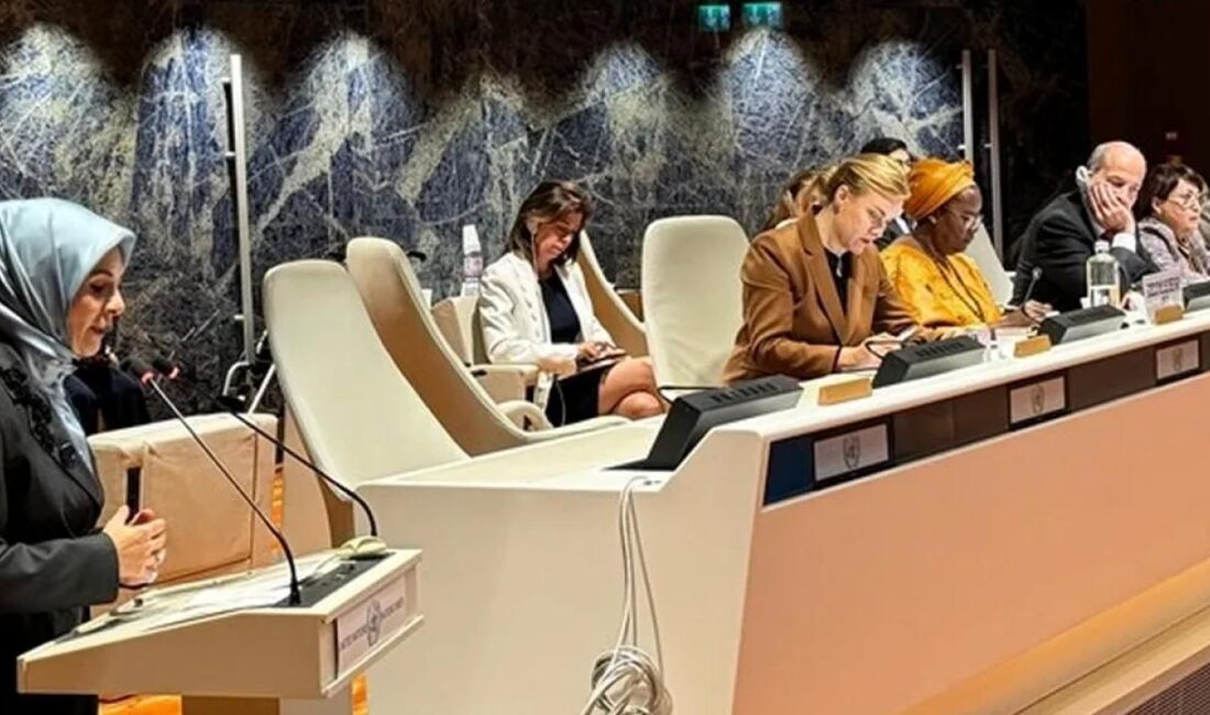 Aile ve Sosyal Hizmetler Bakanı Mahinur Özdemir Göktaş, İsrail'in, Filistin