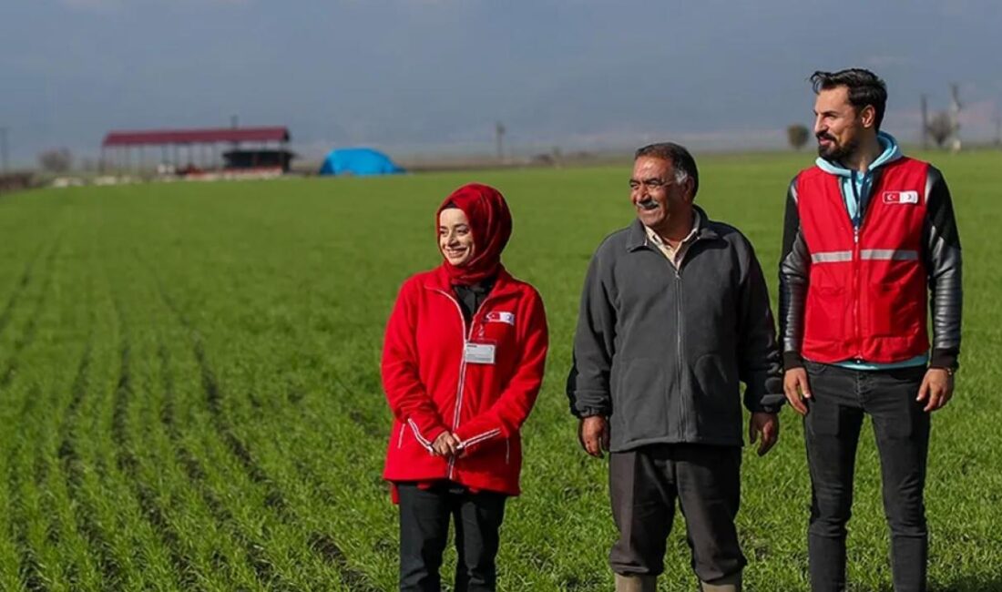 Türk Kızılay, zelzele bölgesinde tarım ve hayvancılığın canlanmasına dayanak olmak