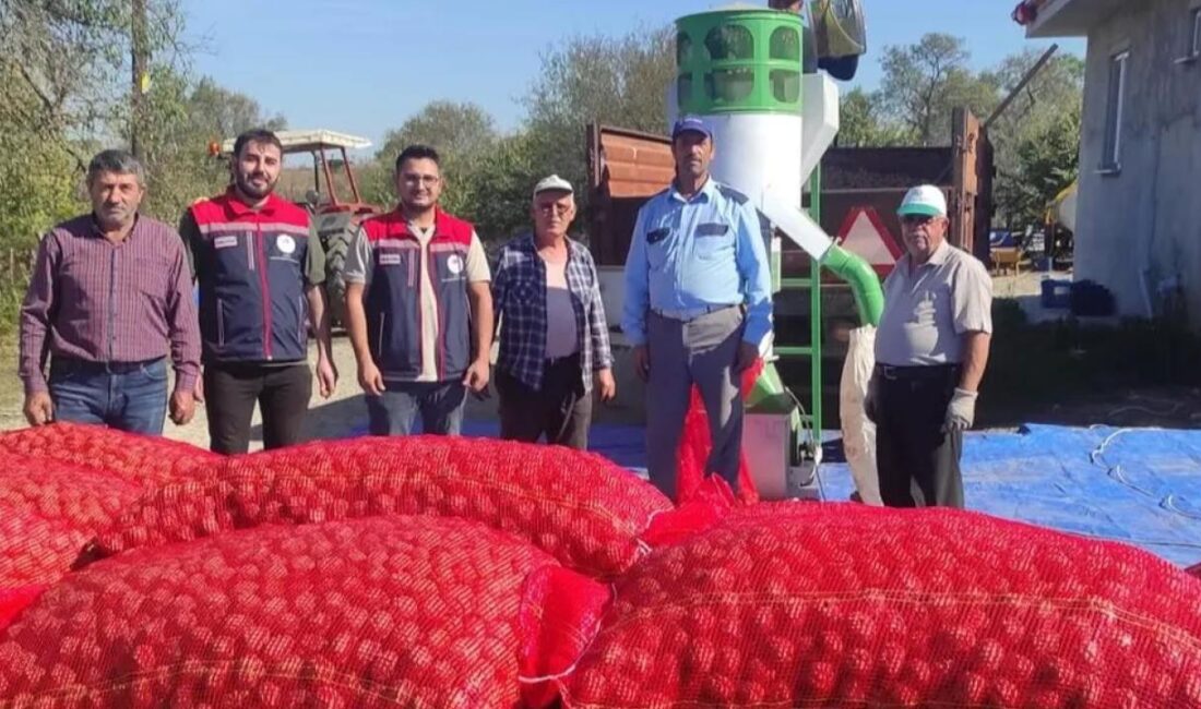 İpsala’nın Karaağaç köyünde devam eden ceviz hasadı harmanları İpsala Tarım