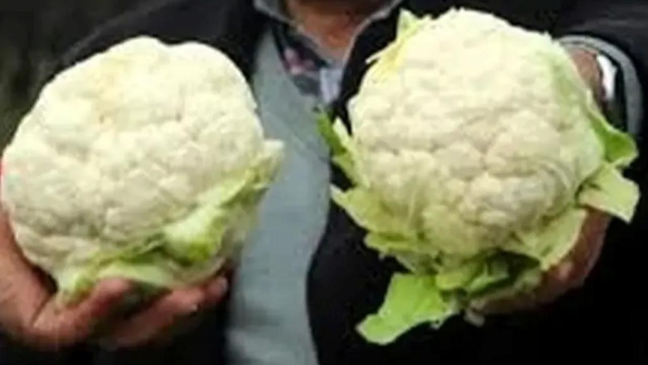 Ekim ayının sonuna yaklaşırken kış zerzevatları tezgahlarda yerlerini almaya başladı.