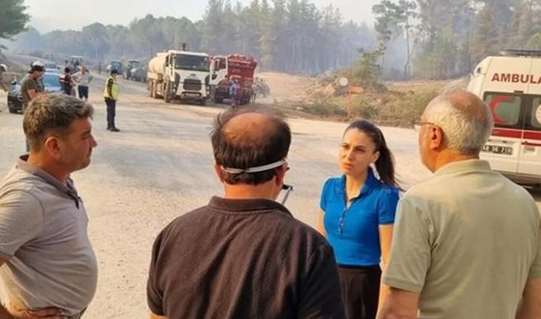 Muğla Milletvekili Avukat Gizem Özcan, Muğla’da 2014 yılından itibaren 2