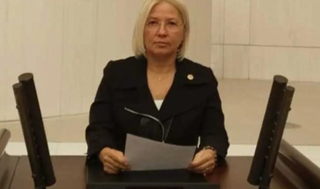 CHP Tekirdağ Milletvekili ve TBMM Ulusal Eğitim, Kültür, Gençlik ve