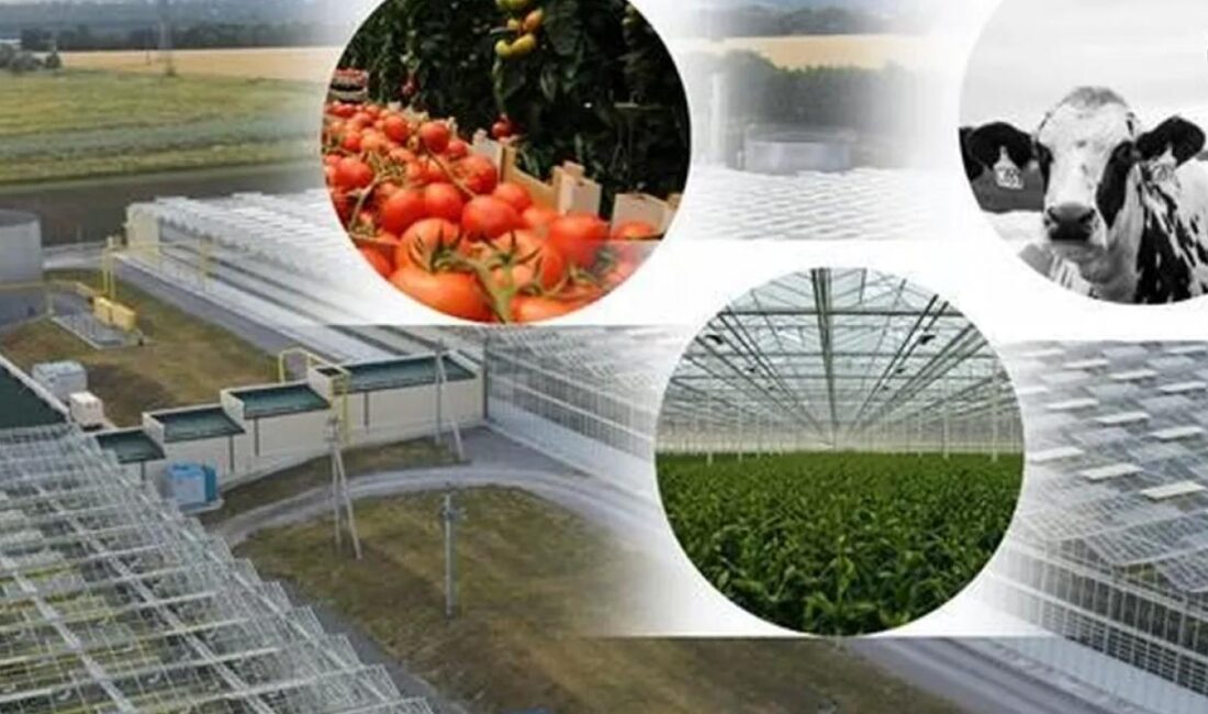 Tarım ve Orman Bakanlığı, hizmete açılan, tüzel kişilik kazandırılan ve