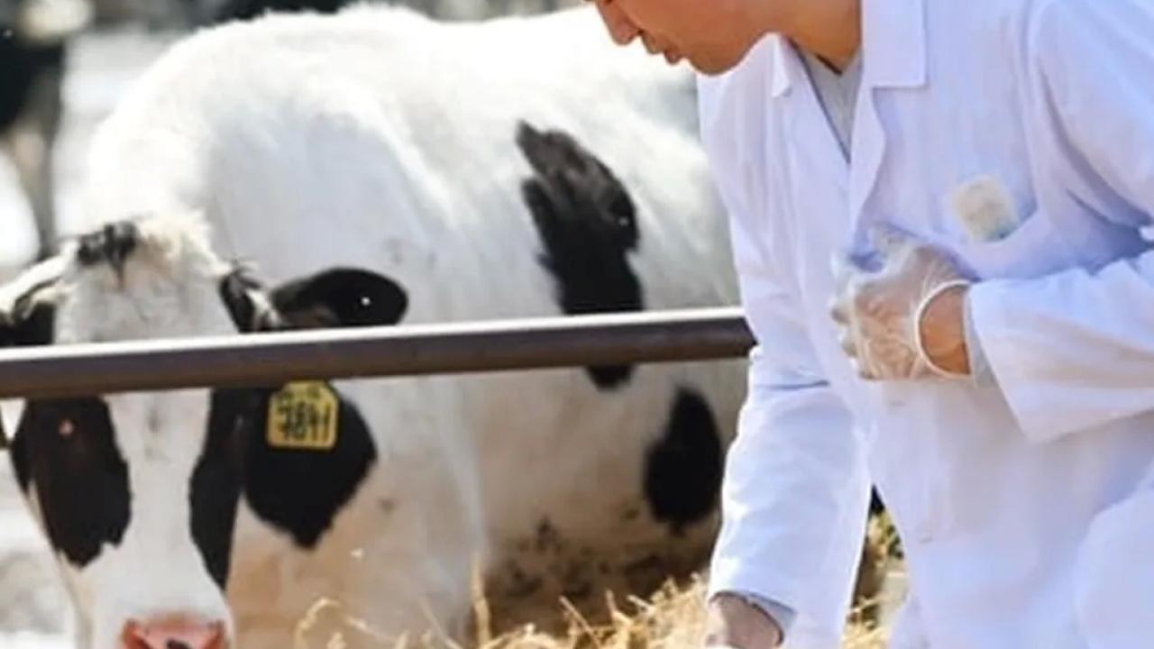 Ziraî girdi fiyat endeksi (Tarım-GFE) yıllık yüzde 33,25 arttı, aylık