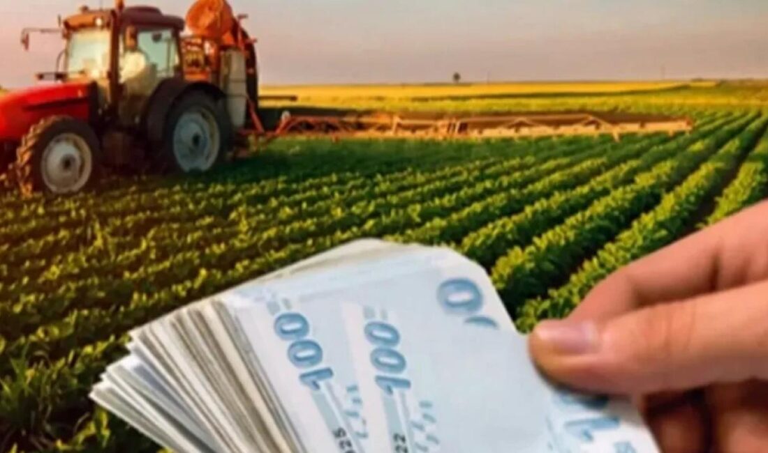 Birtakım toplumsal medya hesaplarında paylaşılan, “2025 yılı Merkezi İdare Bütçesinde