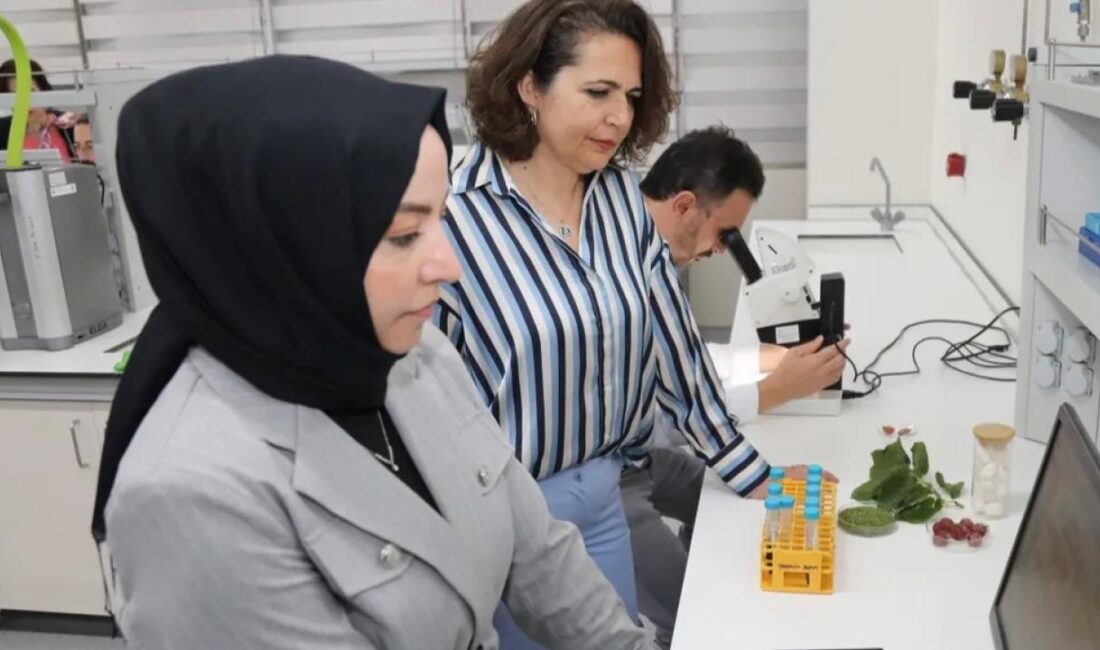 Bursa Teknik Üniversitesi (BTÜ) akademisyenleri, diyabet hastalarının şeker oranı yüksek
