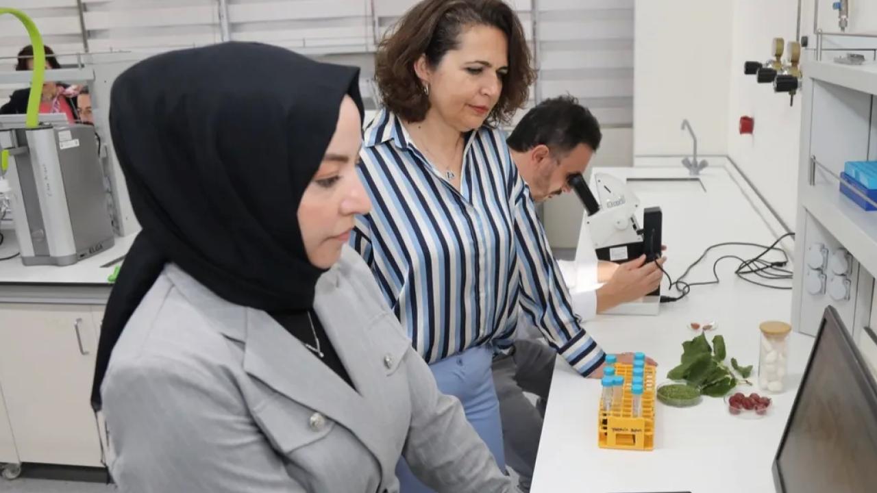 Bursa Teknik Üniversitesi (BTÜ) akademisyenleri, diyabet hastalarının şeker oranı yüksek