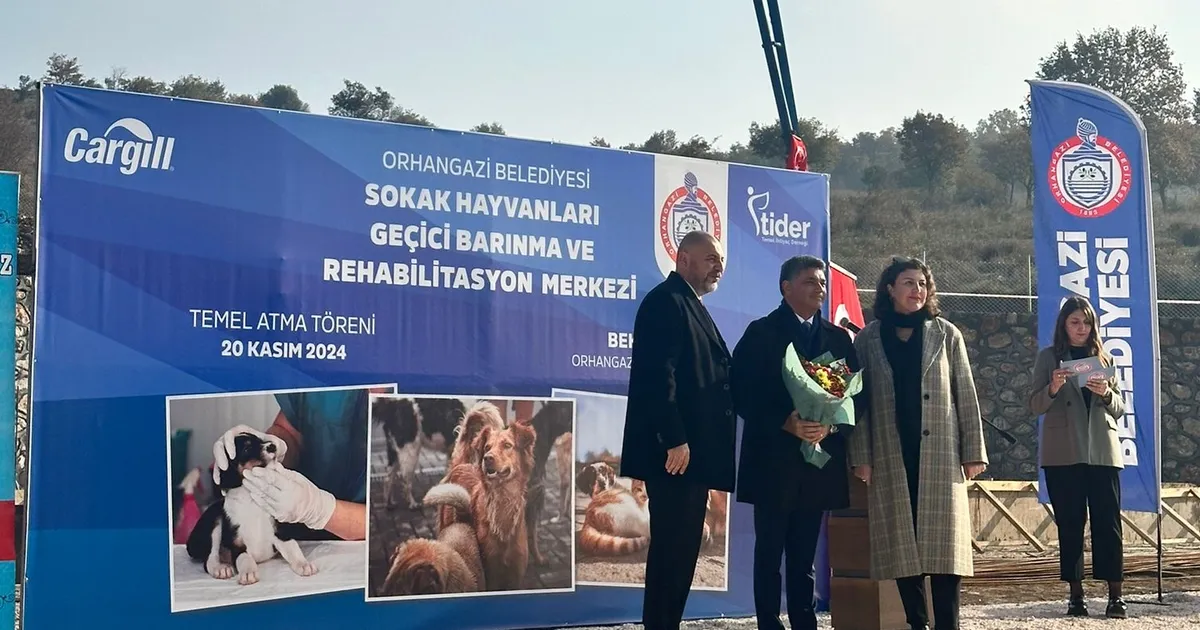 Bursa'da Orhangazi Belediyesi, sokak hayvanlarının sorunlarına çözüm getirmek amacıyla TİDER