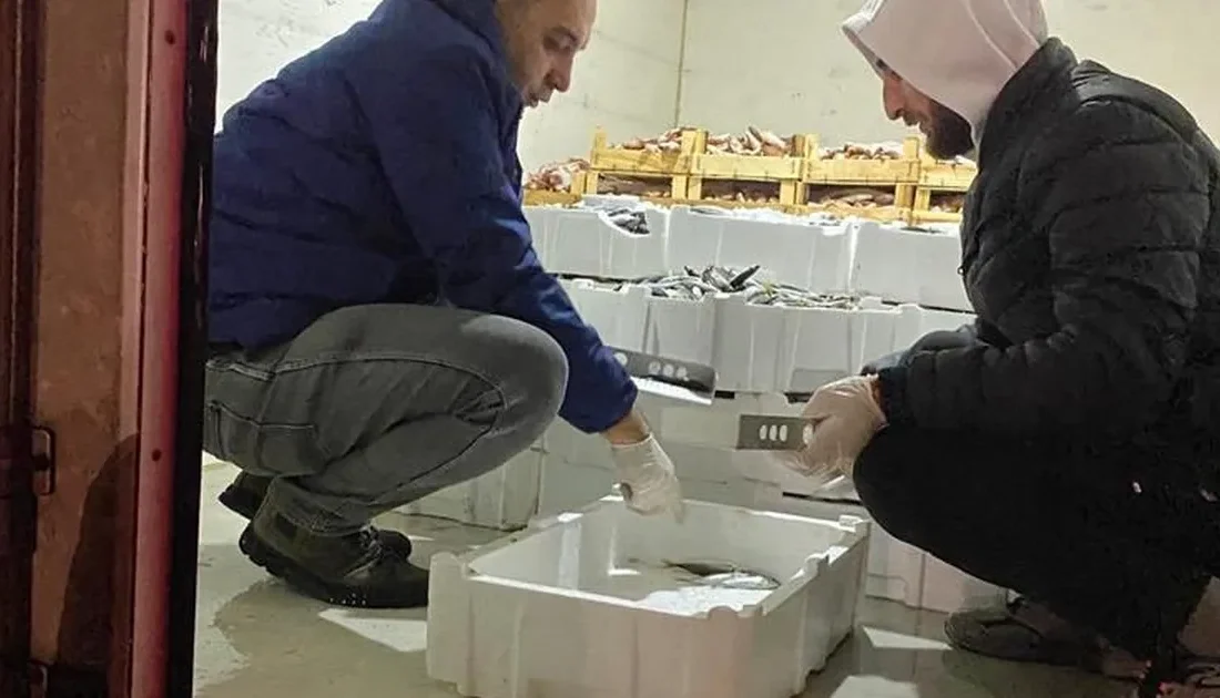 Bursa'da yapılan kontrollerde son 1,5 ayda 5 tondan fazla balığa