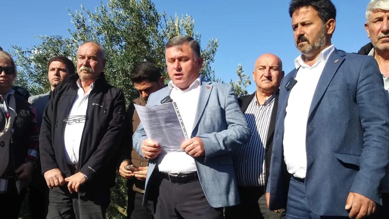 Bursa’da zeytin hasadı ve alım kampanyası öncesinde maliyet hesaplamalarıyla başlayan