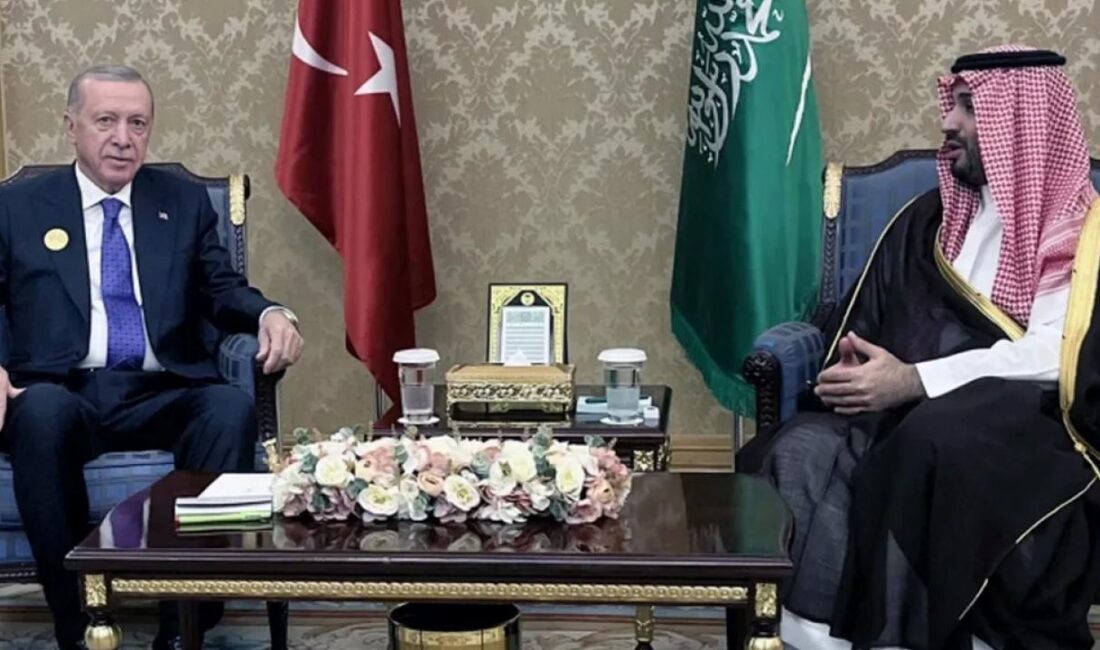 Cumhurbaşkanı Recep Tayyip Erdoğan, "İslam İşbirliği Teşkilatı (İİT) ve Arap