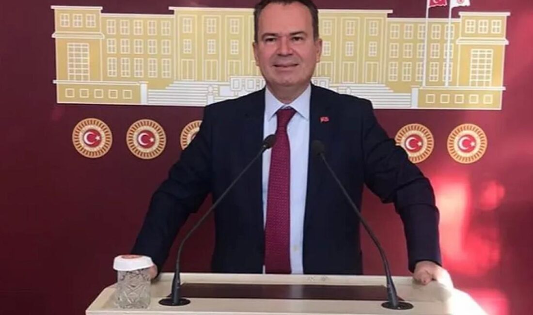 TBMM 21. Devir DSP Edirne Milletvekili Şadan Şimşek, ekonomik kriz,