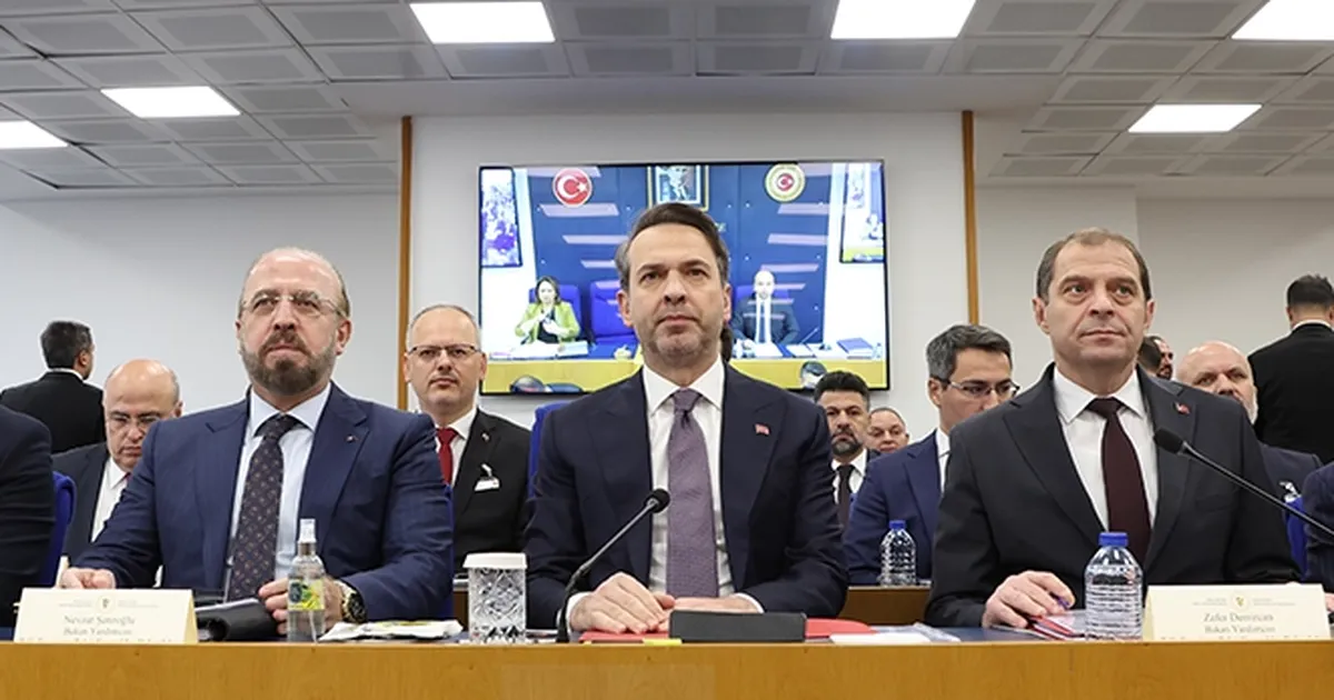 Yenilenebilir enerjiden üretilen elektriğin artırılmasıyla Türkiye'nin 'net sıfır emisyon' hedefine