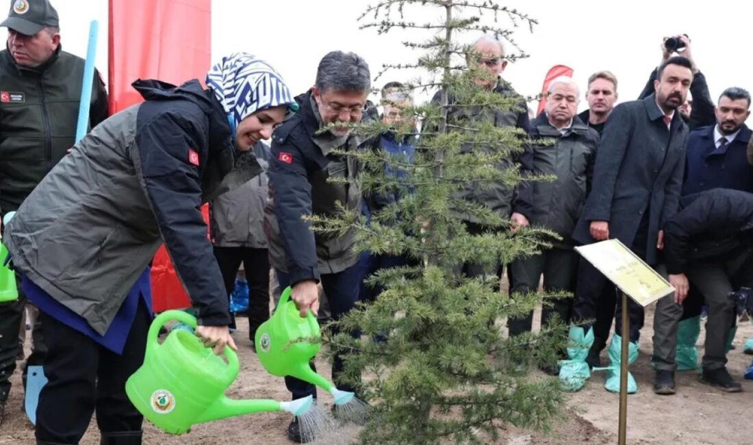 Aile ve Sosyal Hizmetler Bakanı Mahinur Özdemir Göktaş, Türkiye'nin, ağaçlandırma