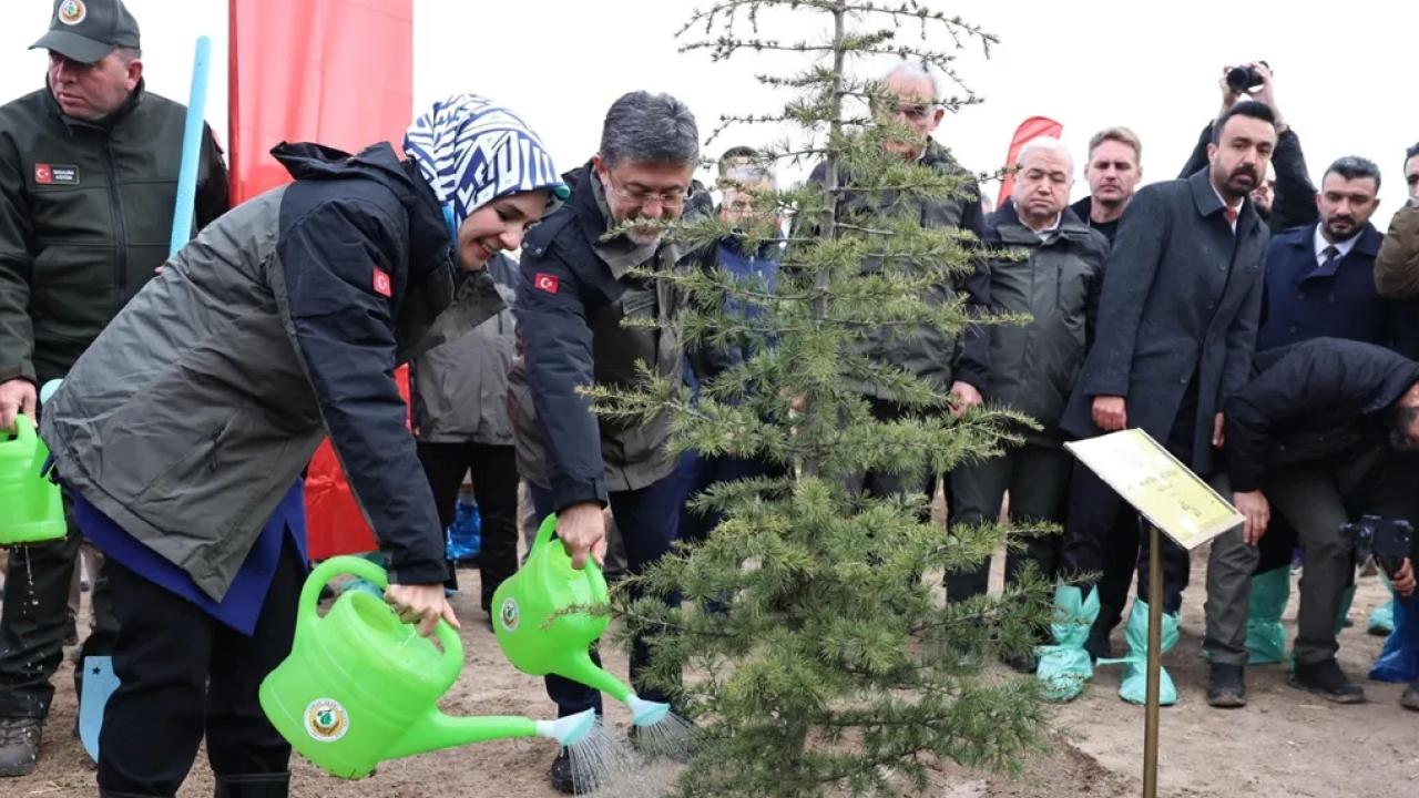 Aile ve Sosyal Hizmetler Bakanı Mahinur Özdemir Göktaş, Türkiye'nin, ağaçlandırma