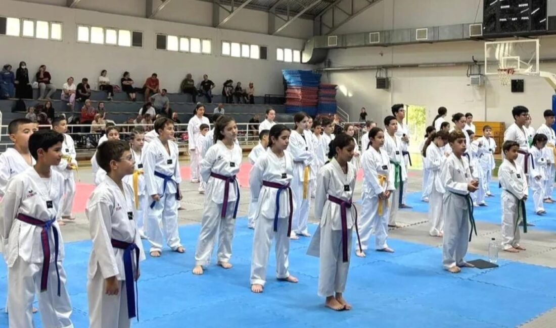 İzmir'de Bornova Belediyesi'nin spor okulları, geleceğin taekwondo yıldızlarını yetiştiriyor. Pınarbaşı