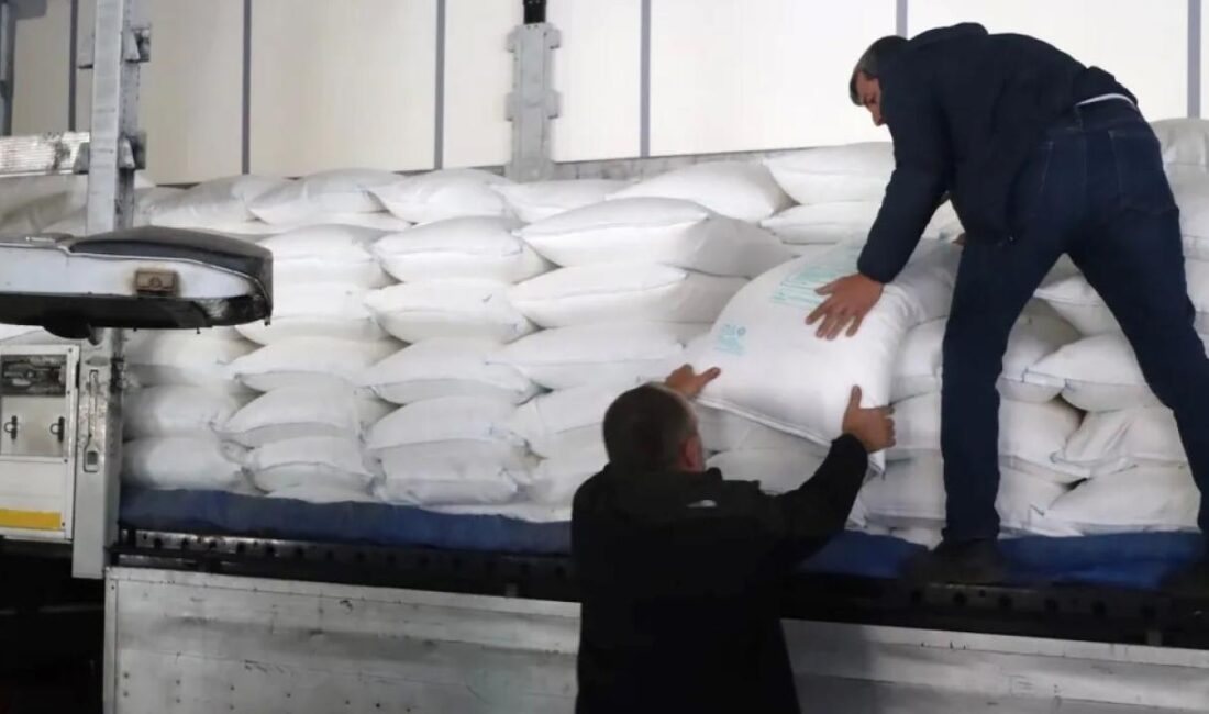 Kocaeli Büyükşehir Belediyesi, yaklaşık 802 arıcıya yüzde 50 hibeli 169
