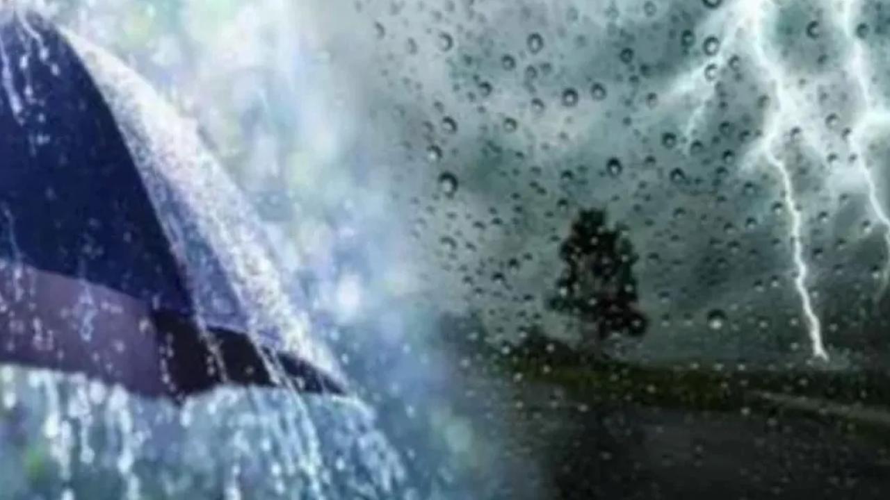 Meteoroloji'nin yayınladığı hava iddia raporuna nazaran, bugün kuzey, iç ve