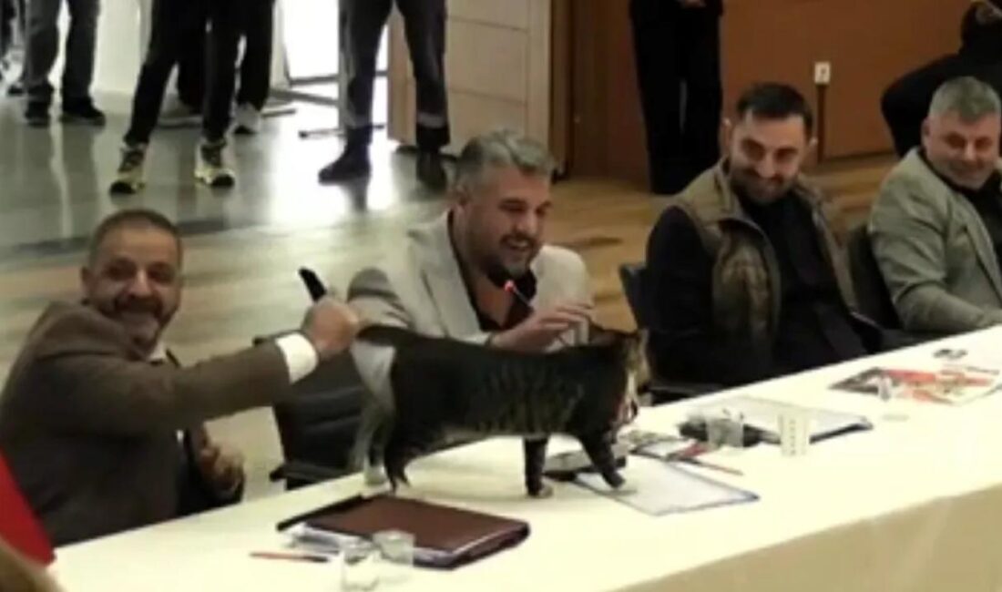 Şile Belediyesi Kasım ayı 2.oturumunda Ak Parti Meclis üyesi Onur