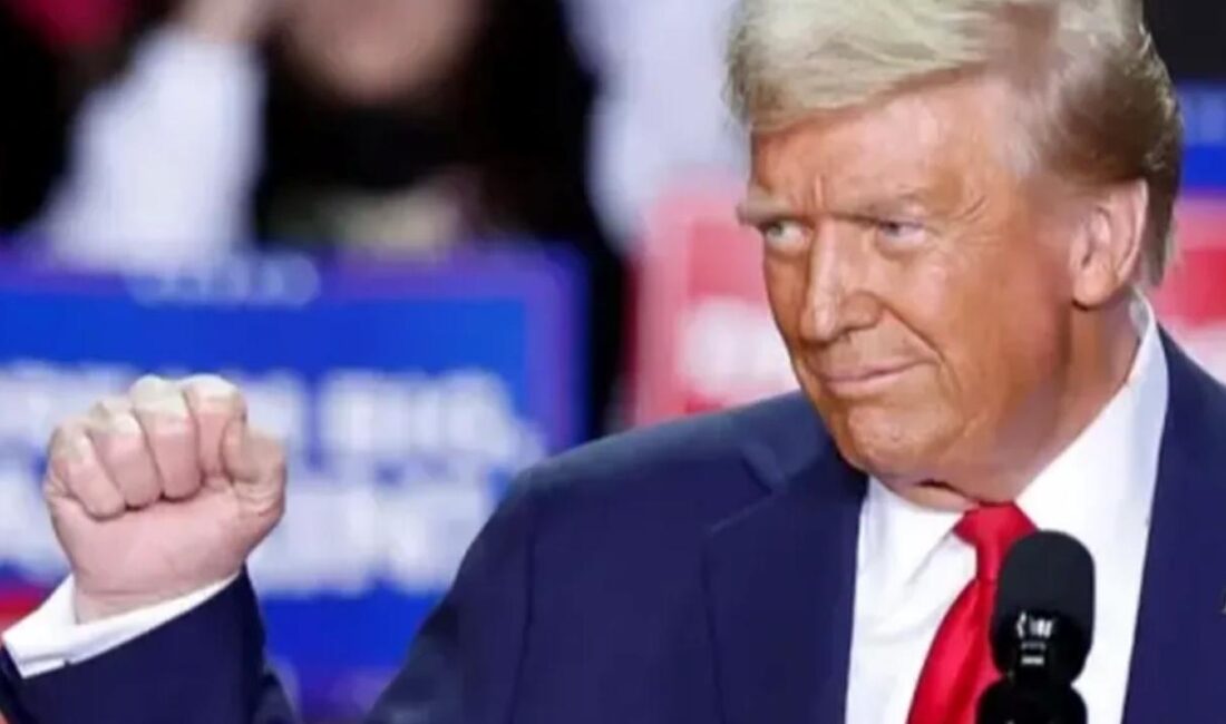 Amerika Birleşik Devletleri'nde yapılan başkanlık seçimlerinin sonuçları, Türk Amerikan toplumu