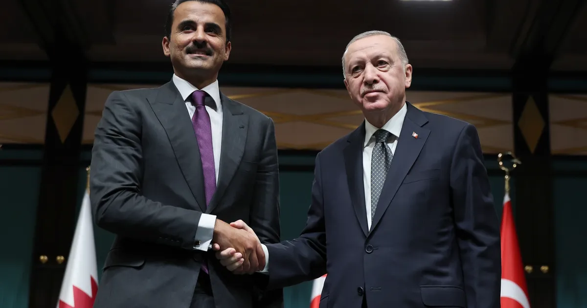 Cumhurbaşkanı Recep Tayyip Erdoğan ve Katar Emiri Şeyh Temim bin