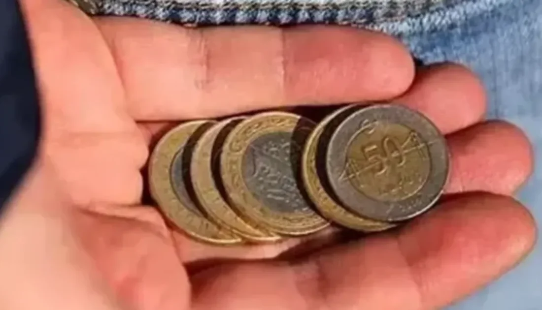 Muğla Planlama Ajansı’nın (MUPA) araştırmasına göre; Muğla halkının mutfak, hijyen,