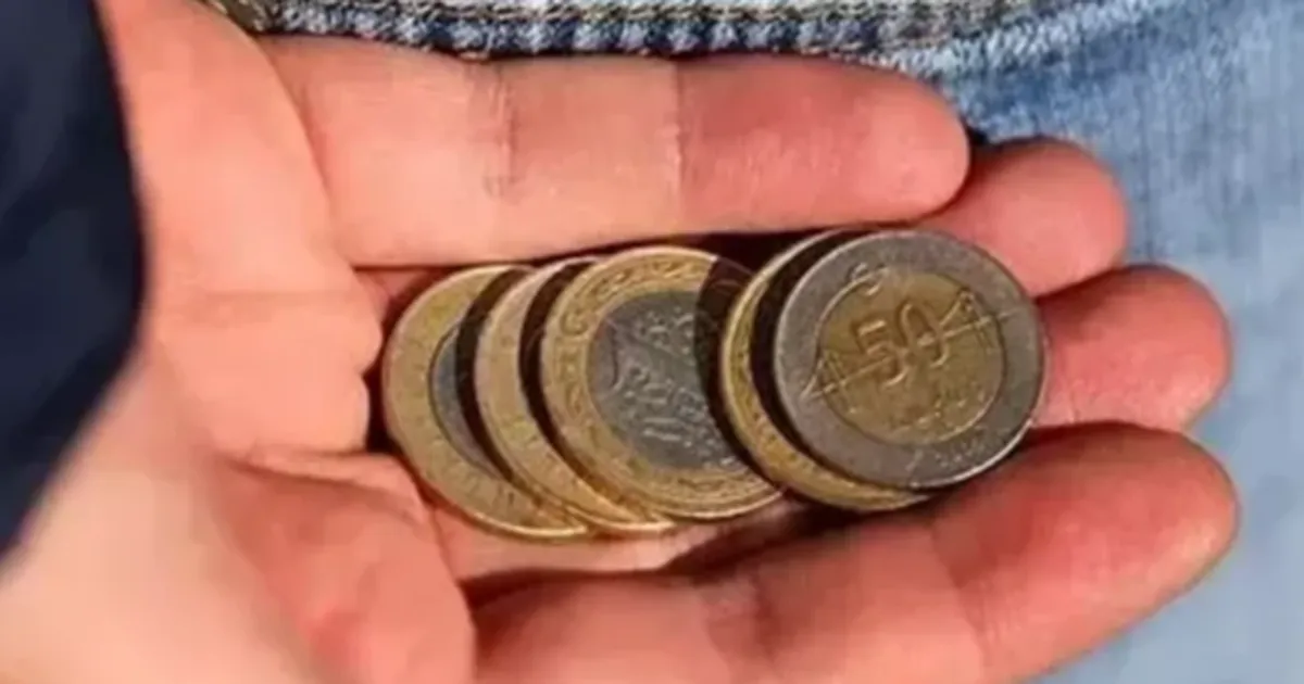 Muğla Planlama Ajansı’nın (MUPA) araştırmasına göre; Muğla halkının mutfak, hijyen,