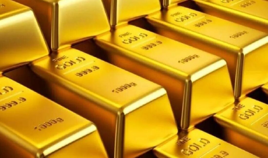 TÜİK'in açıkladığı Finansal Yatırım Araçlarının Reel Getiri Oranları'nda aylık en
