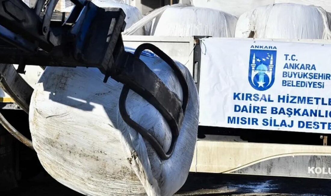 Ankara Büyükşehir ve Kalecik Belediyelerinin ortak hizmet projesi kapsamında yüzde