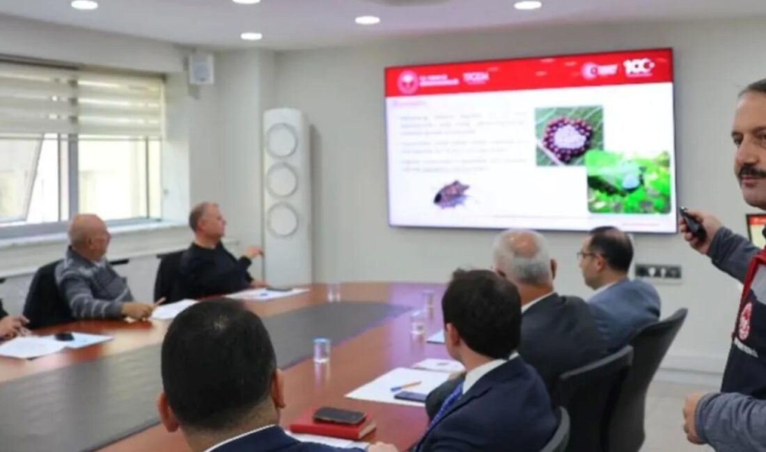 Artvin Valisi Turan Ergün başkanlığında, “Kahverengi Kokarca ile Mücadele Toplantısı”