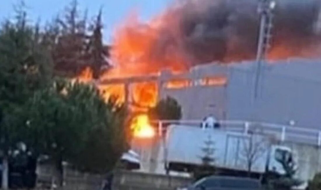 Balıkesir'in Karesi ilçesinde patlayıcı üretilen fabrikada patlama meydana geldi. Patlamada