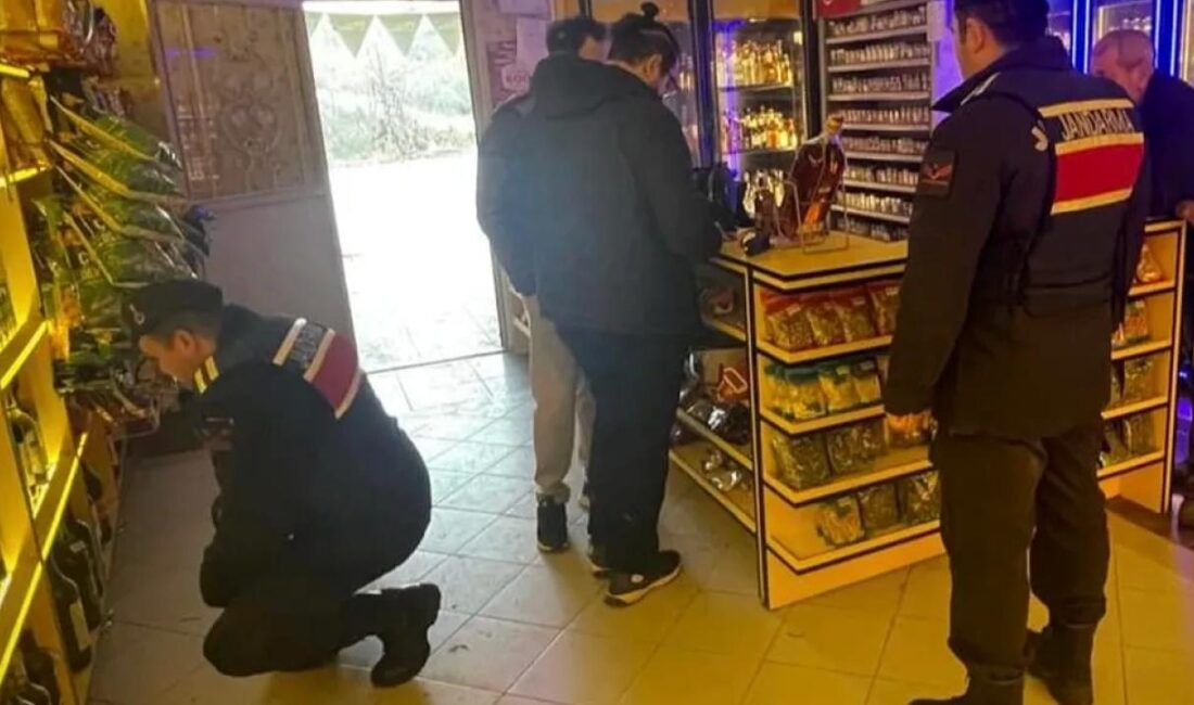 Bilecik'in Osmaneli ilçesinde Jandarma ekiplerince sahte alkol denetimi yapıldı. Ülke