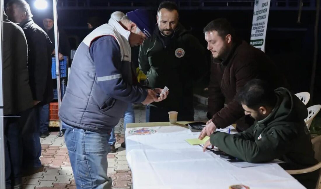 Bursa Gemlik Belediyesi, bu yıl da zeytin üreticilerine önemli bir