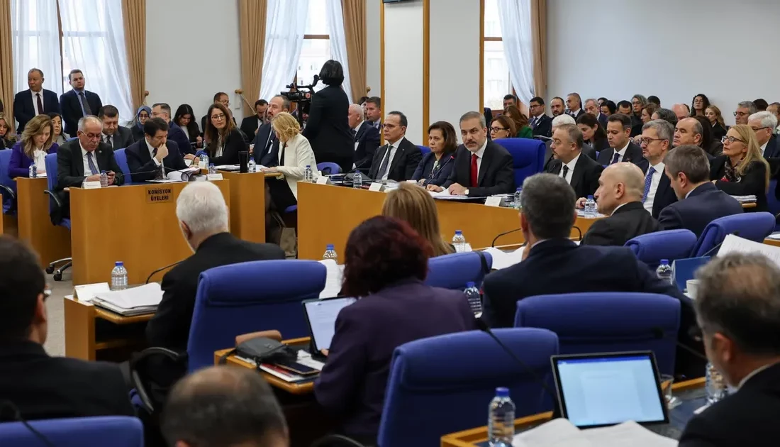 Dışişleri Bakanlığı'nın 2025 yılı bütçesi, Türkiye Büyük Millet Meclisi Plan