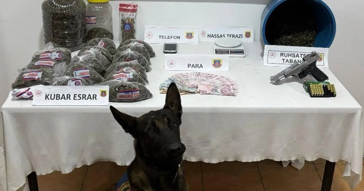 Düzce'ye bağlı Akçakoca ilçesinde yapılan uyuşturucu operasyonunda şüpheli şahıs, suç