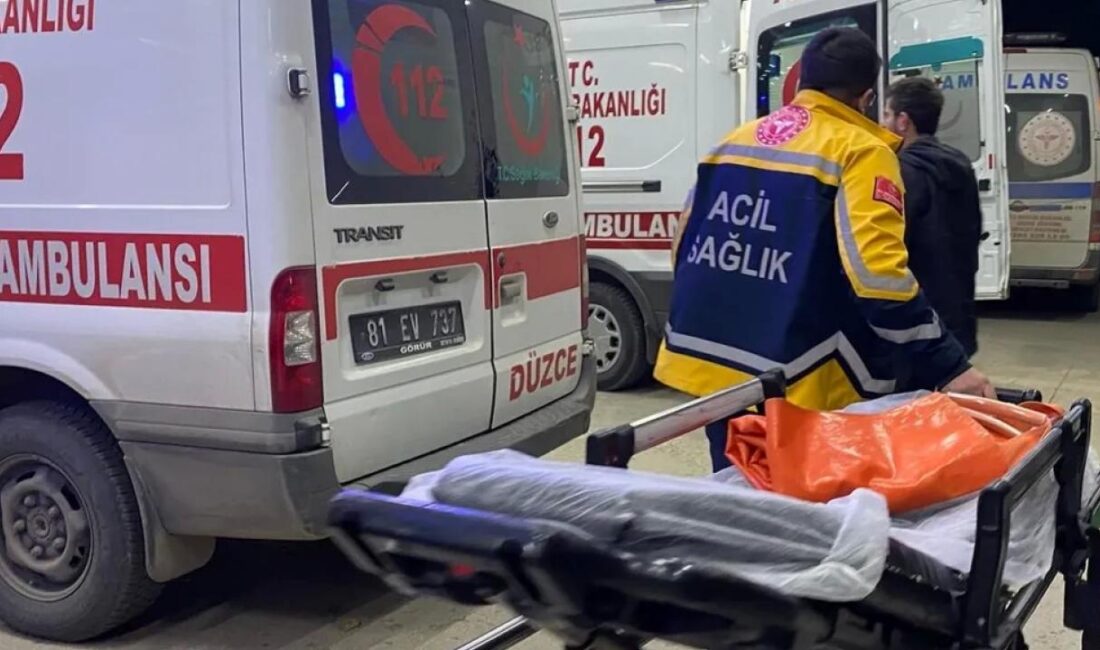 Düzce'de seyir halindeki otomobil, yolun karşısına geçmeye çalışan bir kadına