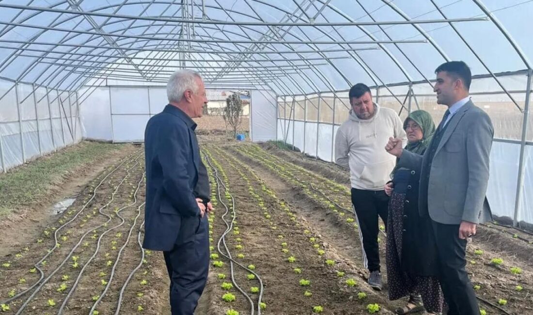Edirne’nin Esetçe beldesinde hayata geçirilen Sera Projesi, Meryem Gider Teyze