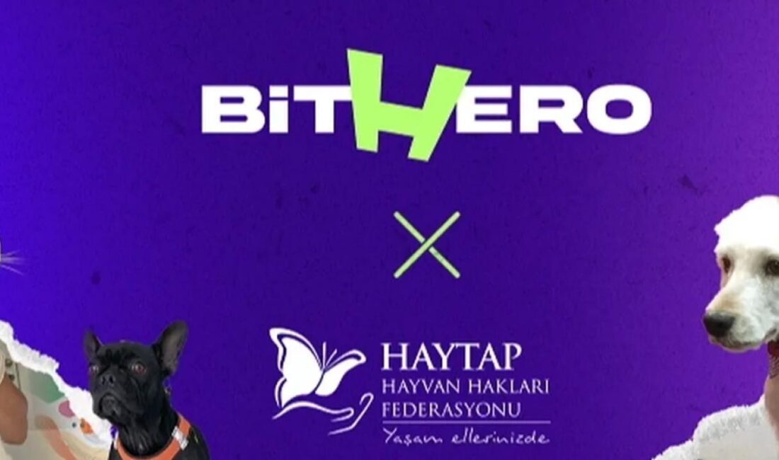 BitHero, hayvan dostu yaklaşımını bir adım daha ileri taşıyarak, Haytap