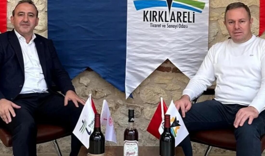 Kırklareli Ticaret ve Sanayi Odası (Kırklareli TSO) Yönetim Kurulu Başkanı