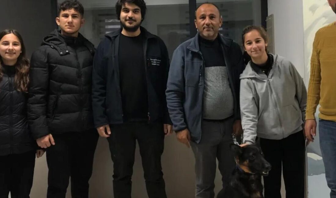 Kocaeli Çayırova Belediyesi Sokak Hayvanları Geçici Bakımevi ve Rehabilitasyon Merkezi,