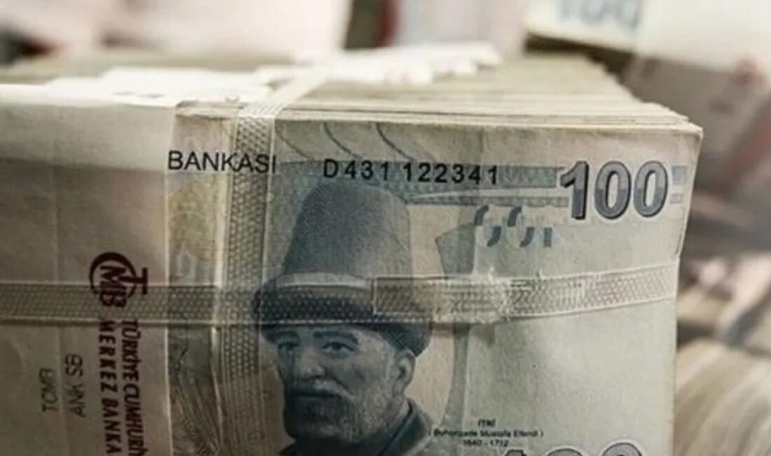 2023 yılı Merkezi Yönetim Kesin Hesap Kanunu ile 2025 Yılı