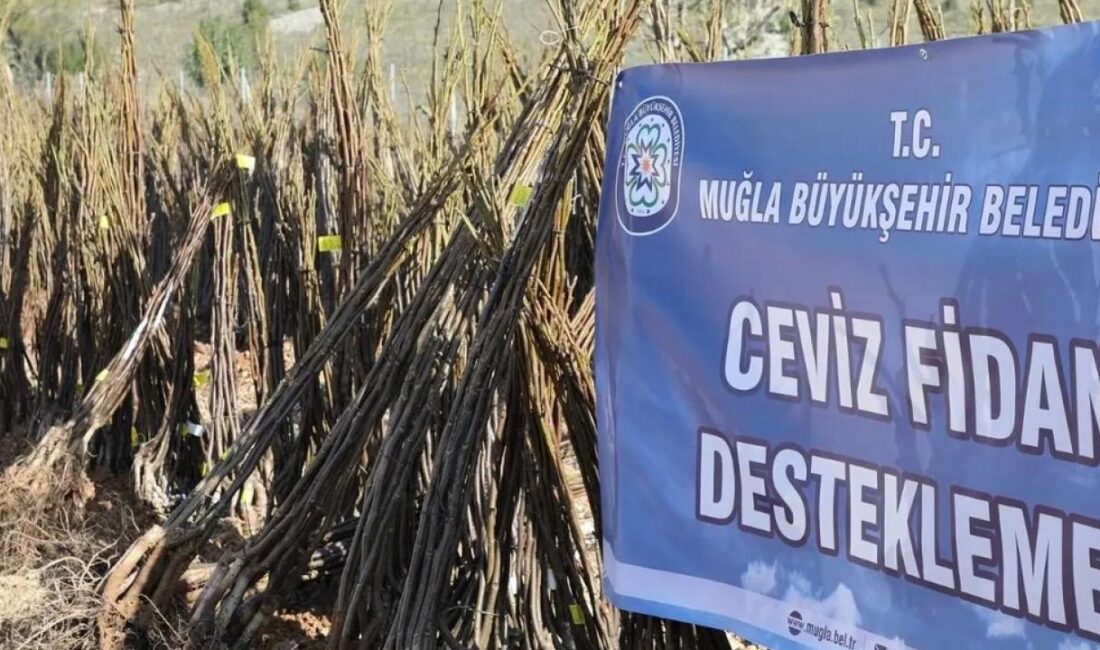 Muğla Büyükşehir Belediyesi “Her Kapıda Bir Fidan” projesi ile ücretsiz