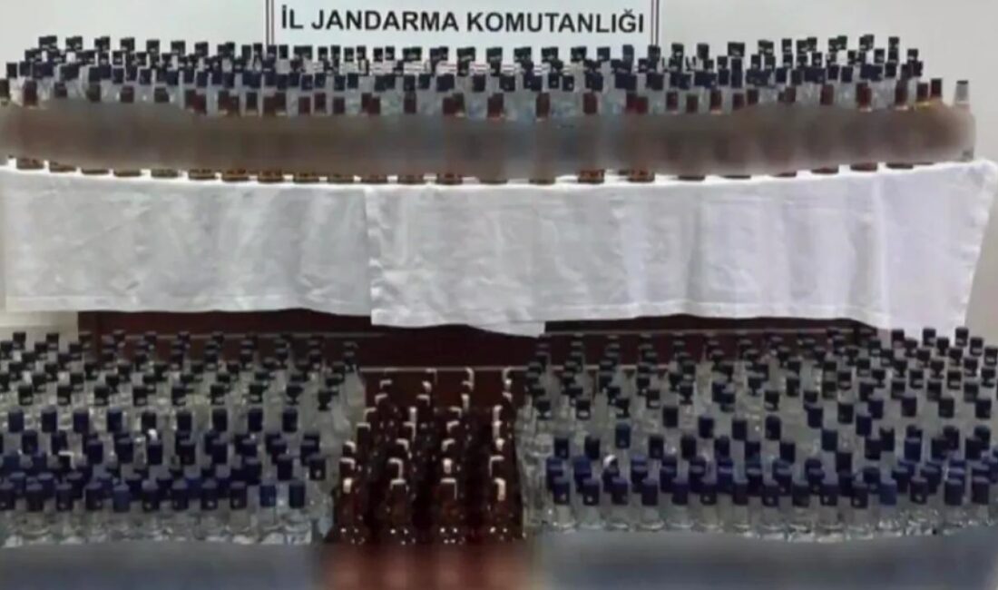 81 ilde sahte alkol imalatçılarına yönelik son 1 haftadır devam