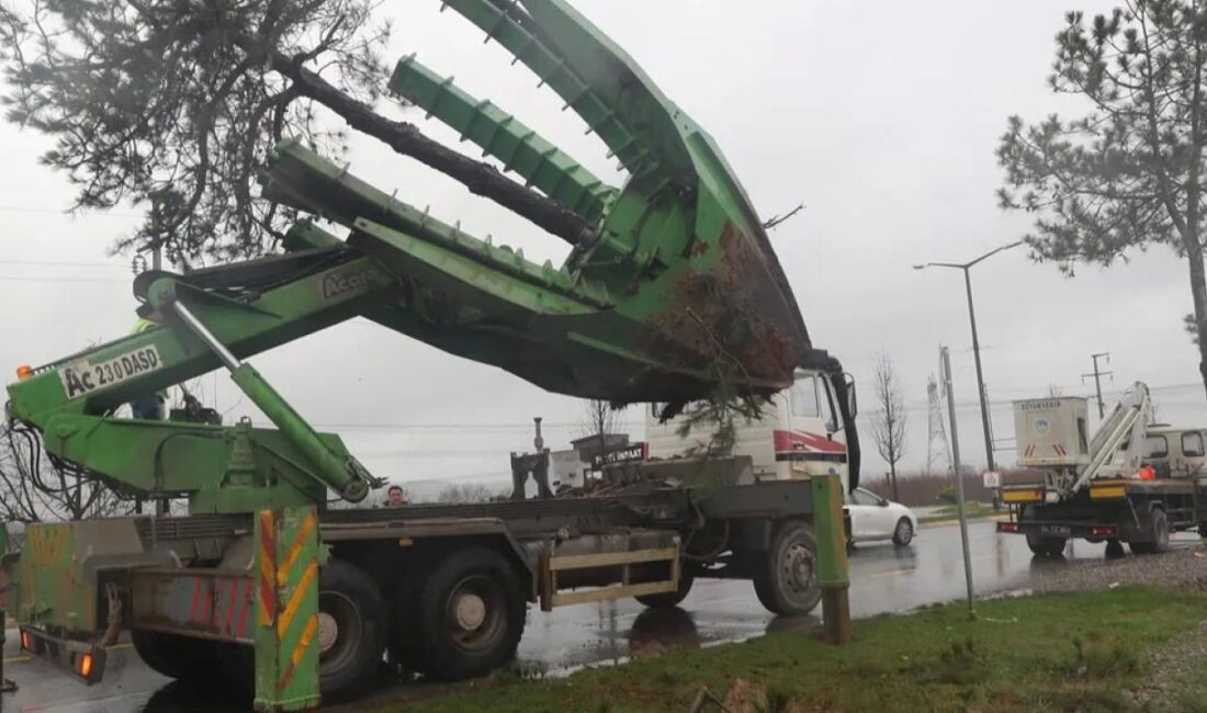 Sakarya Büyükşehir Belediyesi’nin metrobüs hattı için Sebahattin Zaim Bulvarı’nda başlattığı