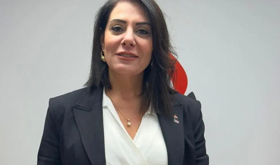 Zafer Partisi, çevre, şehircilik ve kültür alanındaki çalışmalarını daha etkin