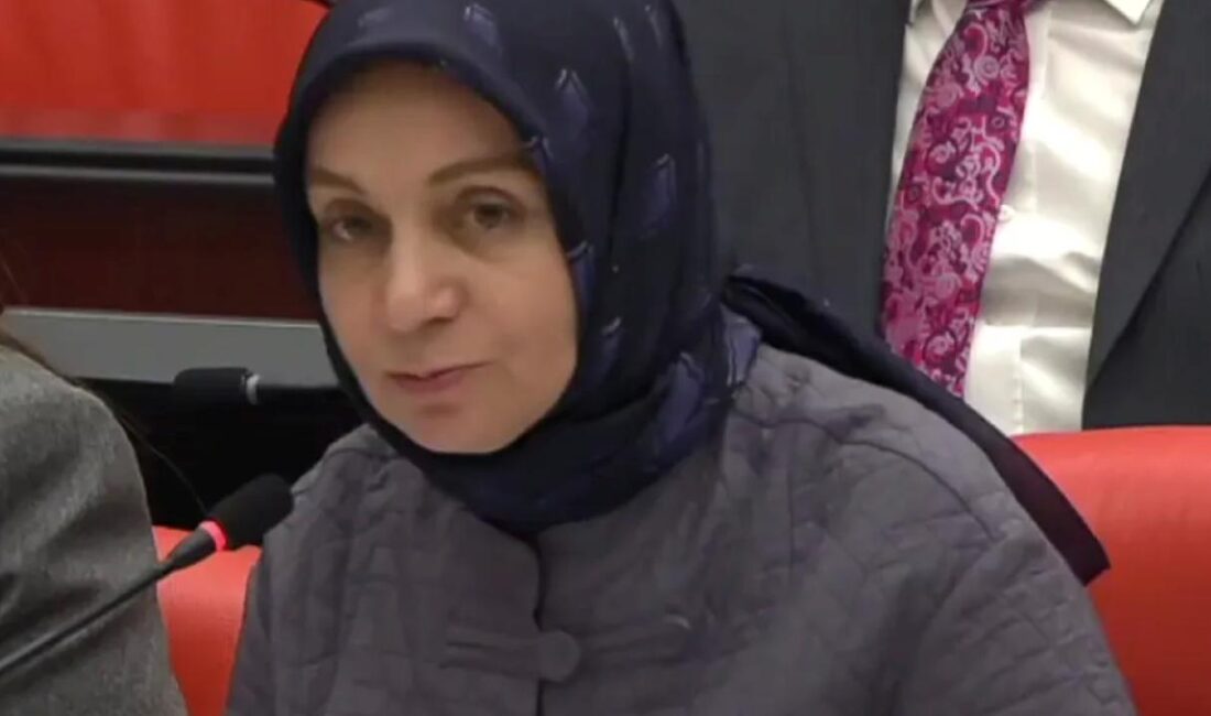 AK Parti Grup Başkanvekili Leyla Şahin Usta, TBMM Genel Kurulu'nda