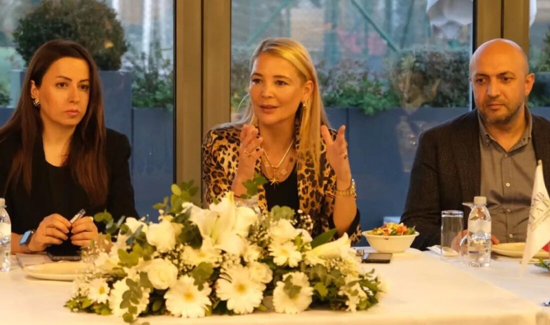 Demirtaş Organize Sanayi Bölgesi Sanayici ve İş İnsanları Derneği (DOSABSİAD),