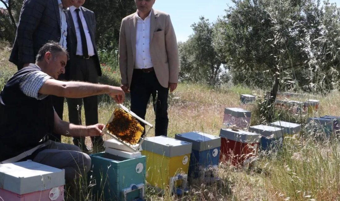 Manisa Büyükşehir Belediyesi, tarım ve hayvancılık sektöründe yaptığı önemli destekler