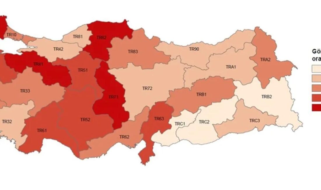 2024 yılına ilişkin Yoksulluk ve Yaşam Koşulları'na göre en düşük