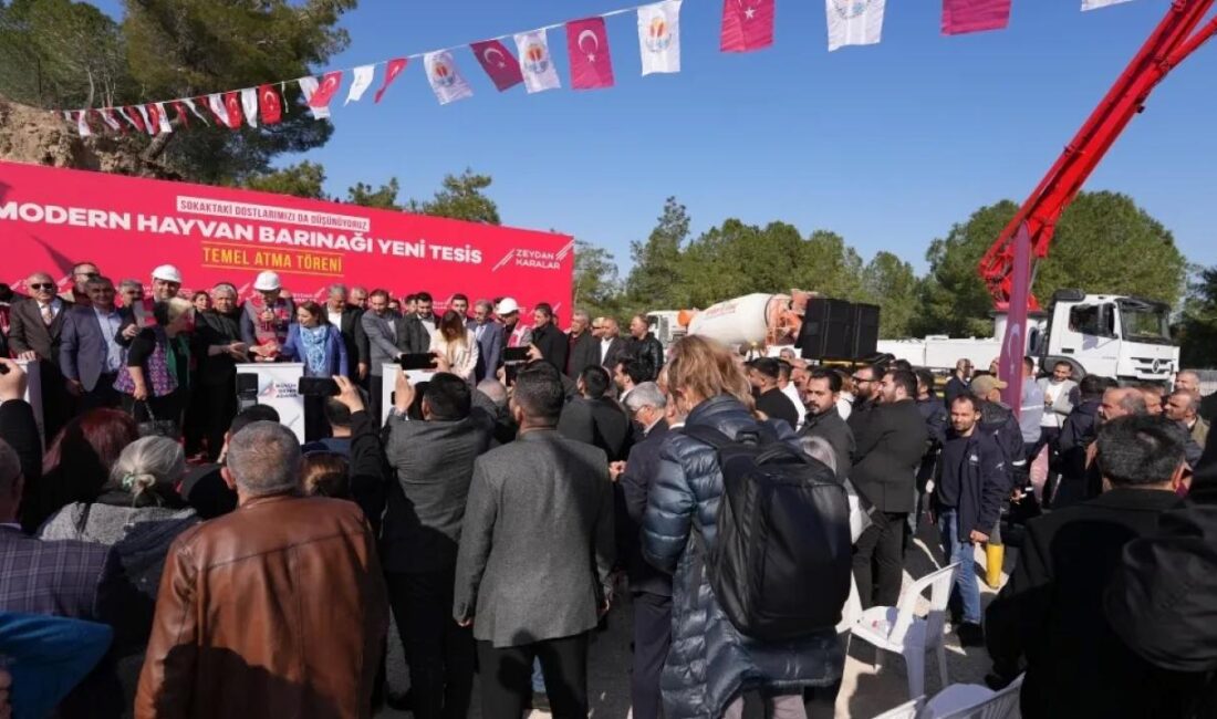 Adana Büyükşehir Belediyesi, sokak canlıları sorununun insani çözümü için bütün